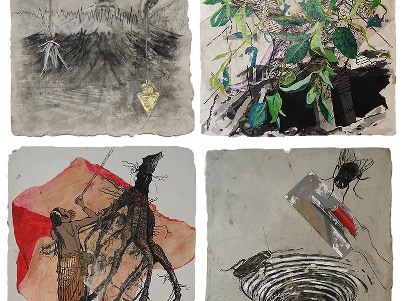 MIS PRIMERAS OBSERVACIONES 