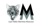 Deconstrucción zoológica serie (Jaguar) - Martínez Juan Pablo 