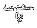 Documento Canafiano. Siglo XX al XXI - Guadalupe Huerta Tonantzin