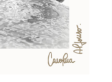 Carolina Alfonso / Granos de quinua - Alfonso Carolina