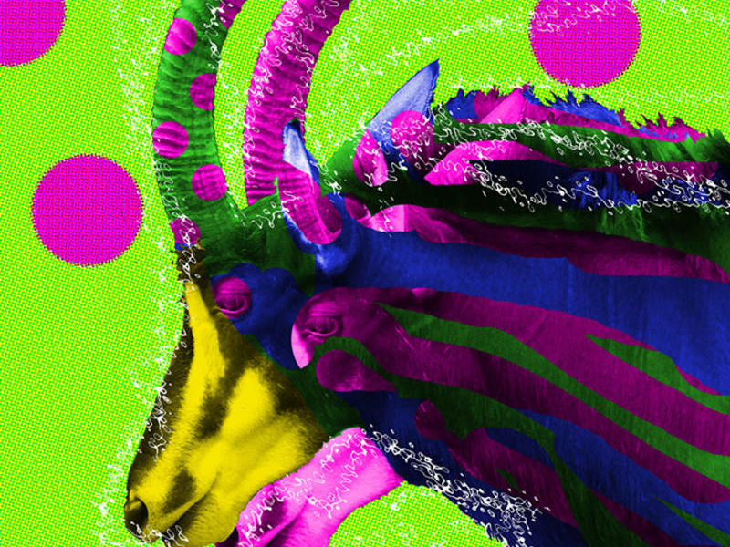 OVIS ARIES - Tobar Jose | ARTEX