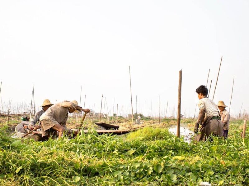 Burma by the Hour - 10 am - Isabel Robinson | ARTEX