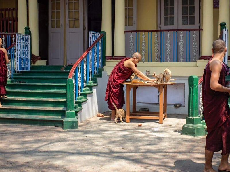 Burma by the Hour - 11 am - Isabel Robinson | ARTEX