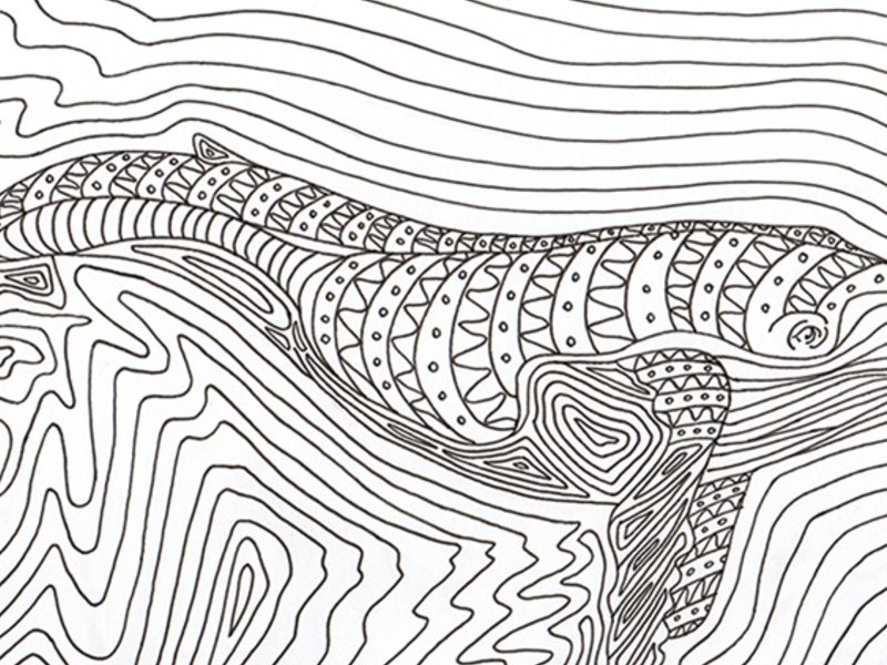 Palomeque Omar / Ballena