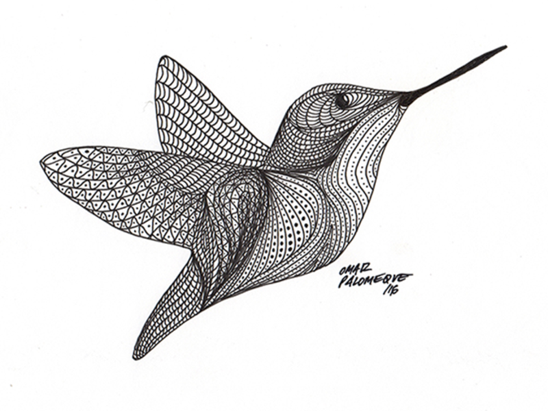 Palomeque Omar / Colibrí