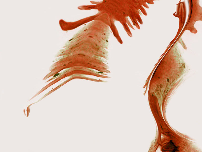 Romero Katya / Dejando huella 3 