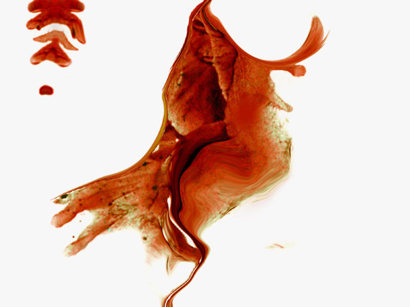 Romero Katya / Huella 6