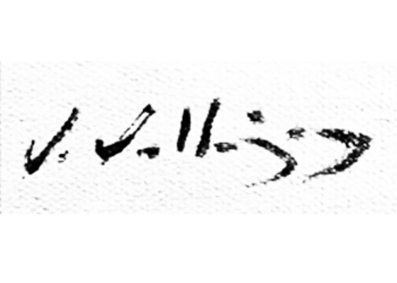 Vallejos Vinicio  | ARTEX