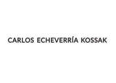 Echeverría Kossak Carlos / Un domingo - Echeverría Kossak Carlos 