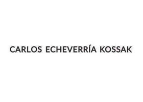 Echeverría Kossak Carlos  | ARTEX